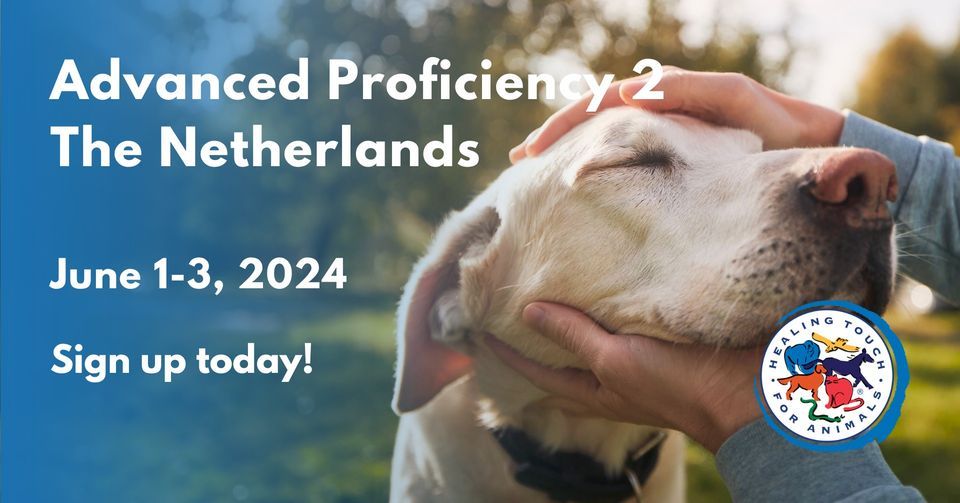 Healing Touch for Animals\u00ae Advanced Proficiency 2 (AP2) in The Netherlands