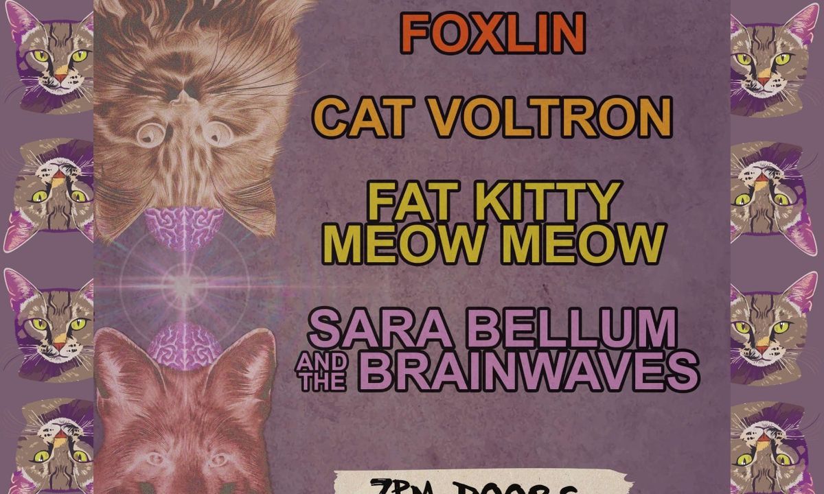 Foxlin, Cat Voltron, Fat Kitty Meow Meow, Sarah Bellum and the Brainwaves