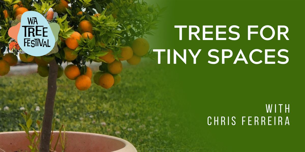 Trees for Tiny Spaces