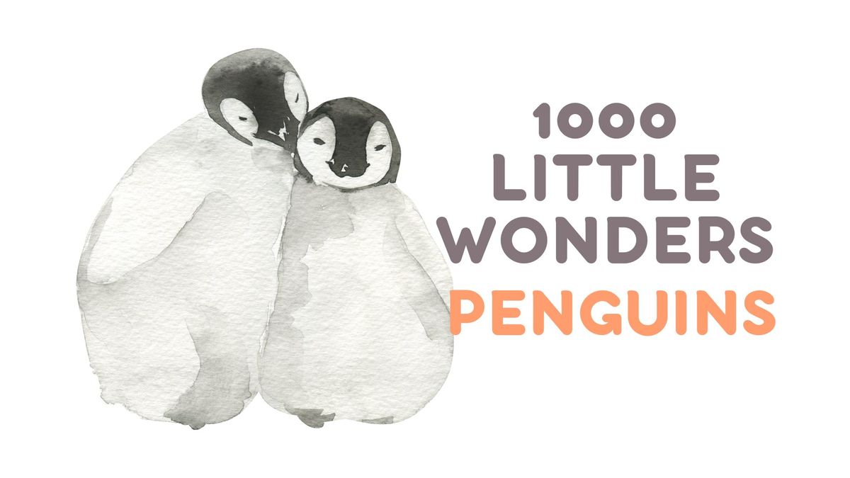 1000 Little Wonders - Class Theme: Penguins