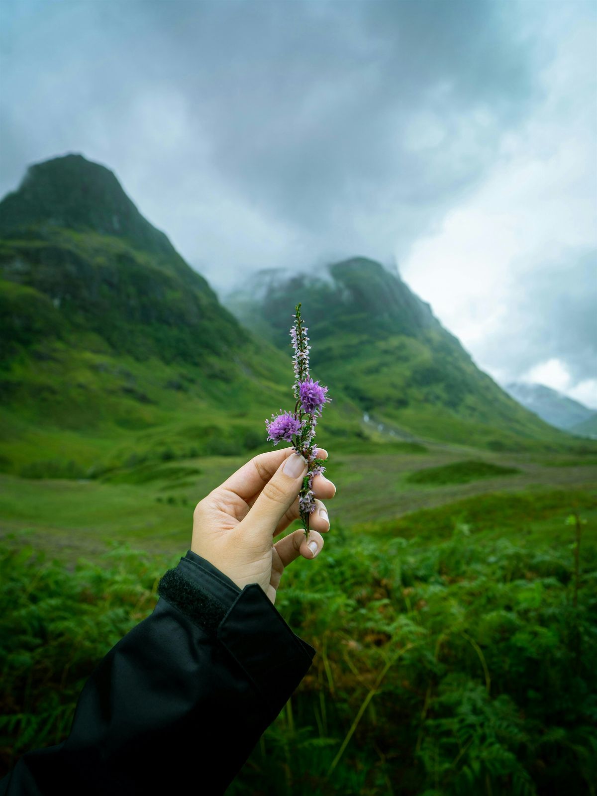 Scottish Regional BSL 101 for Sign Language Interpreters