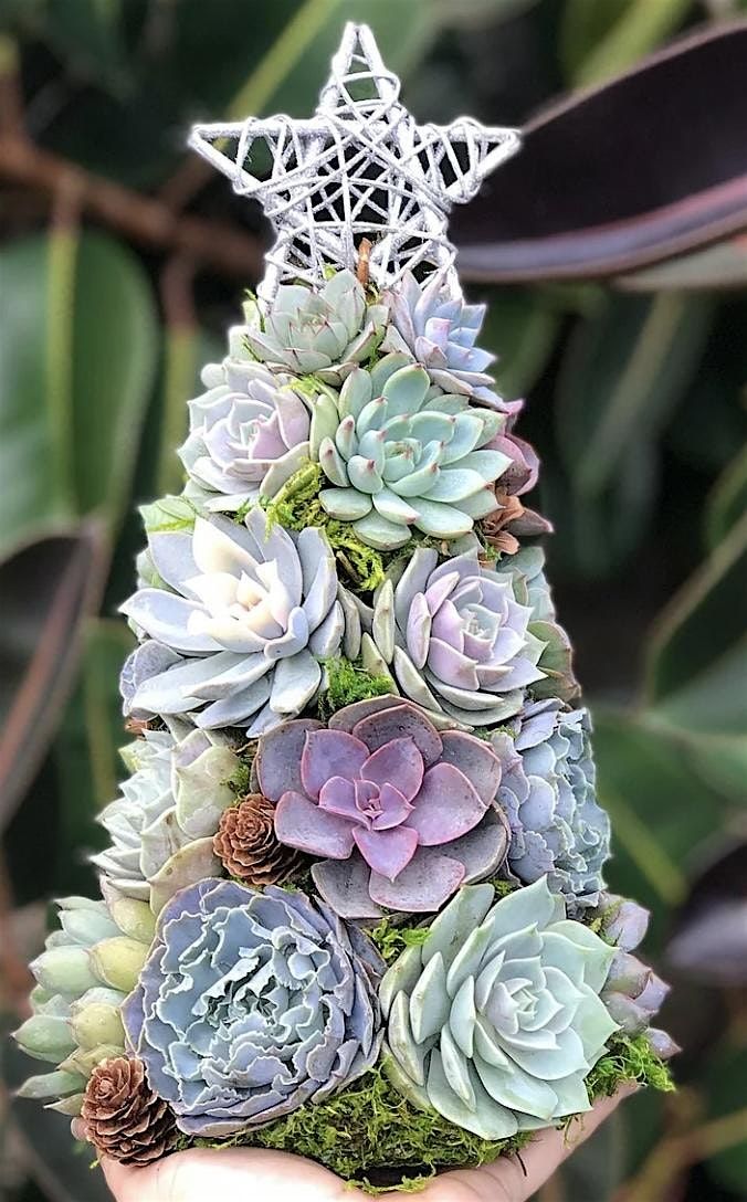 Holiday Living Succulent Christmas Tree