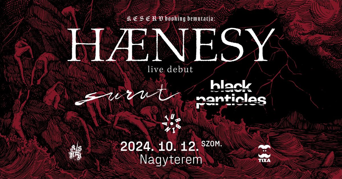 H\u00e6nesy [live debut] \u00d7 Surut [fi] \u00d7 black particles