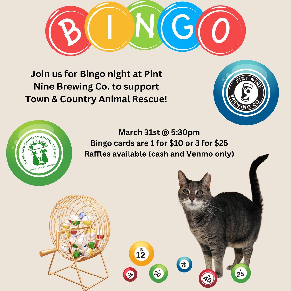 Bingo Night