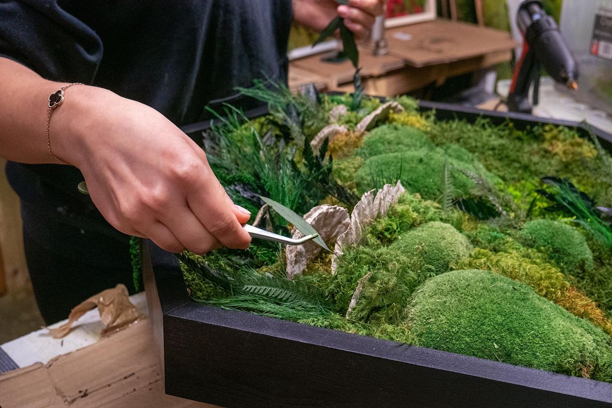 Moss art create your own unique Plant Painting!, Tipis on the