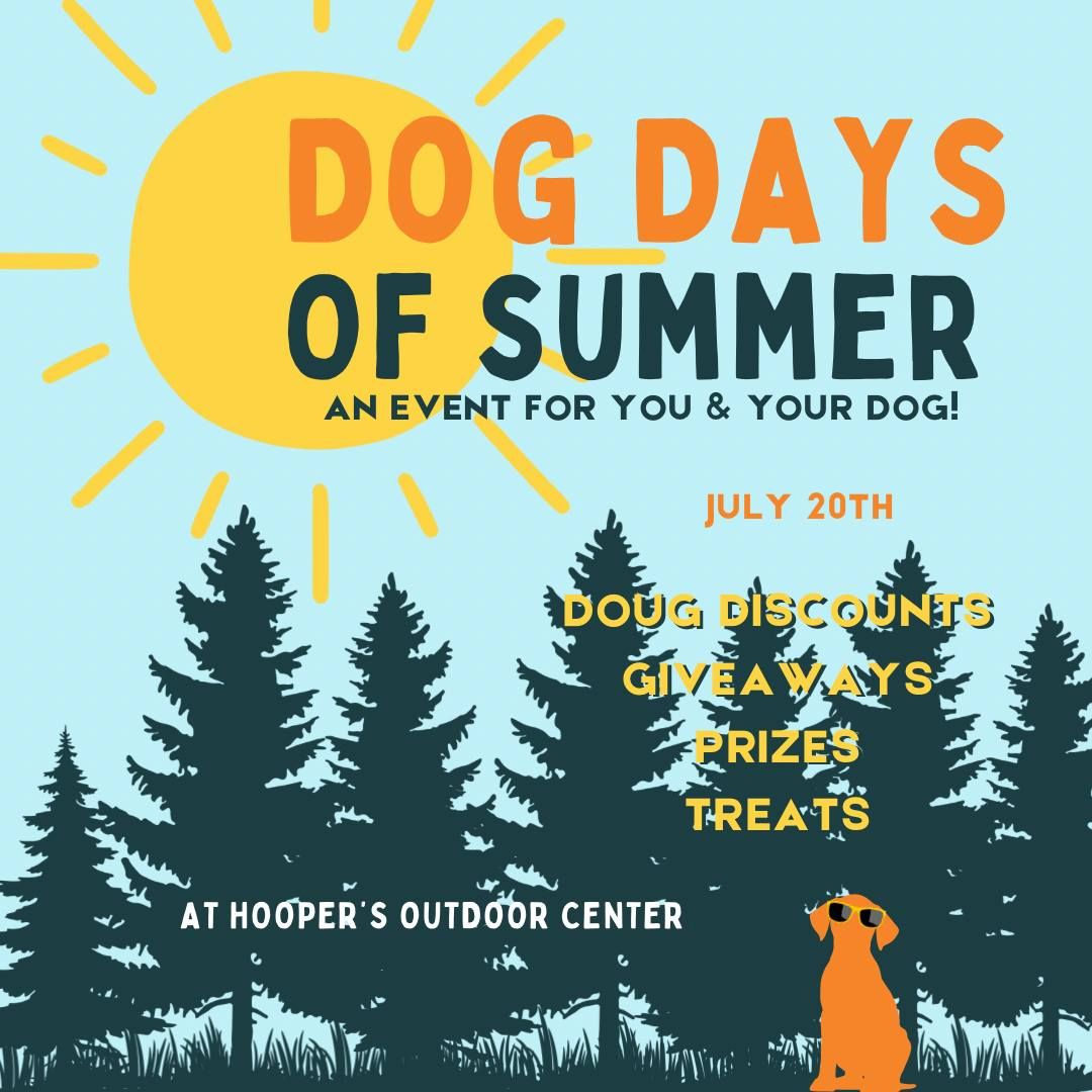 Dog Days of Summer!