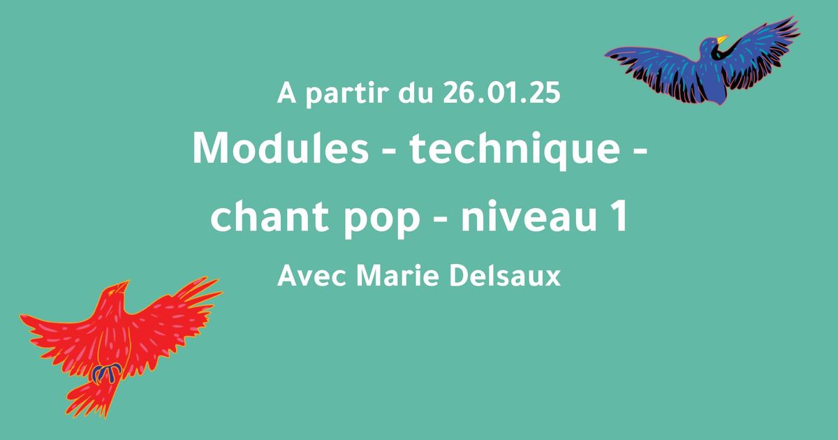 Namur - modules de technique vocale pop - Marie Delsaux (niveau 1)