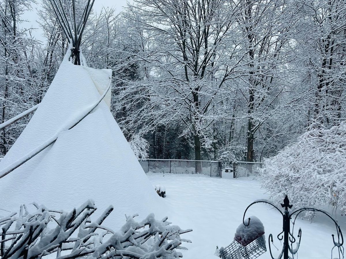 Winter Solstice in the Healing Forest