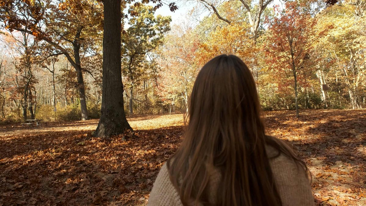 Welcoming Autumn - Forest Bathing Walk