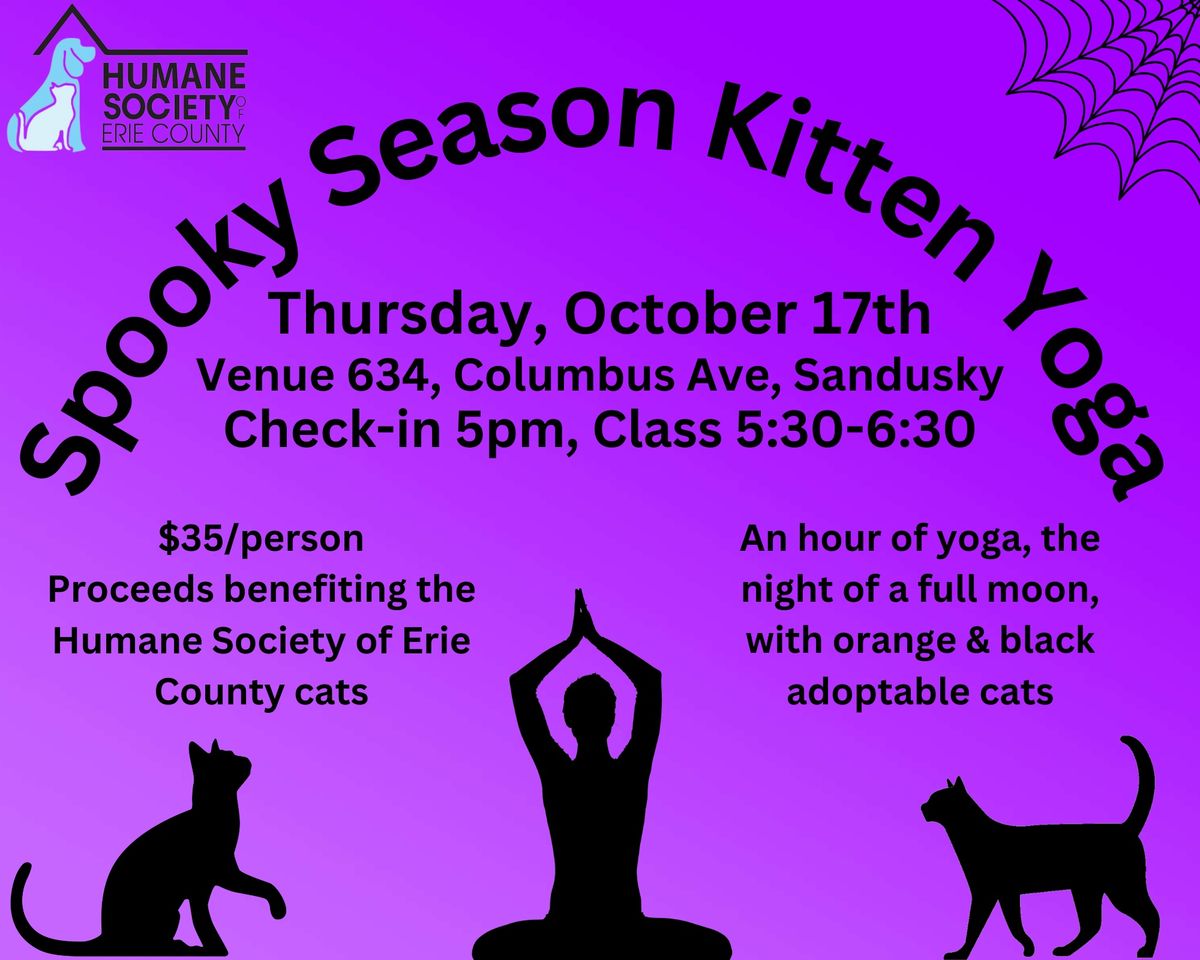 Spooky Season Kitten Yoga