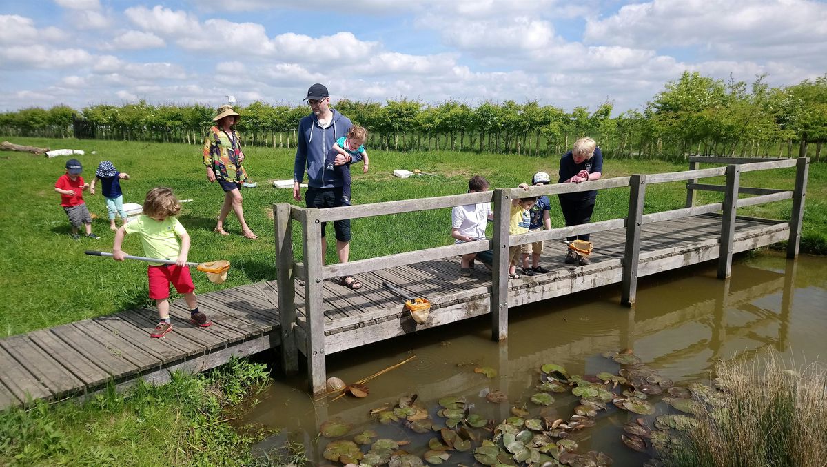 Abberton Pond Dipping