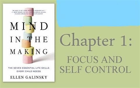 Mind in the Making: Focus and Self-Control Through Play (INITIAL\/ANNUAL)