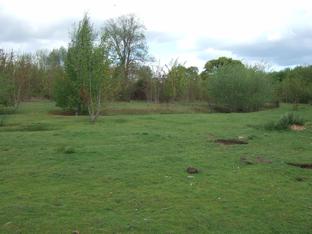 Springfield Lyons Springfield Lyons Bronze Age Enclosure Tours - Heritage Open Days ...