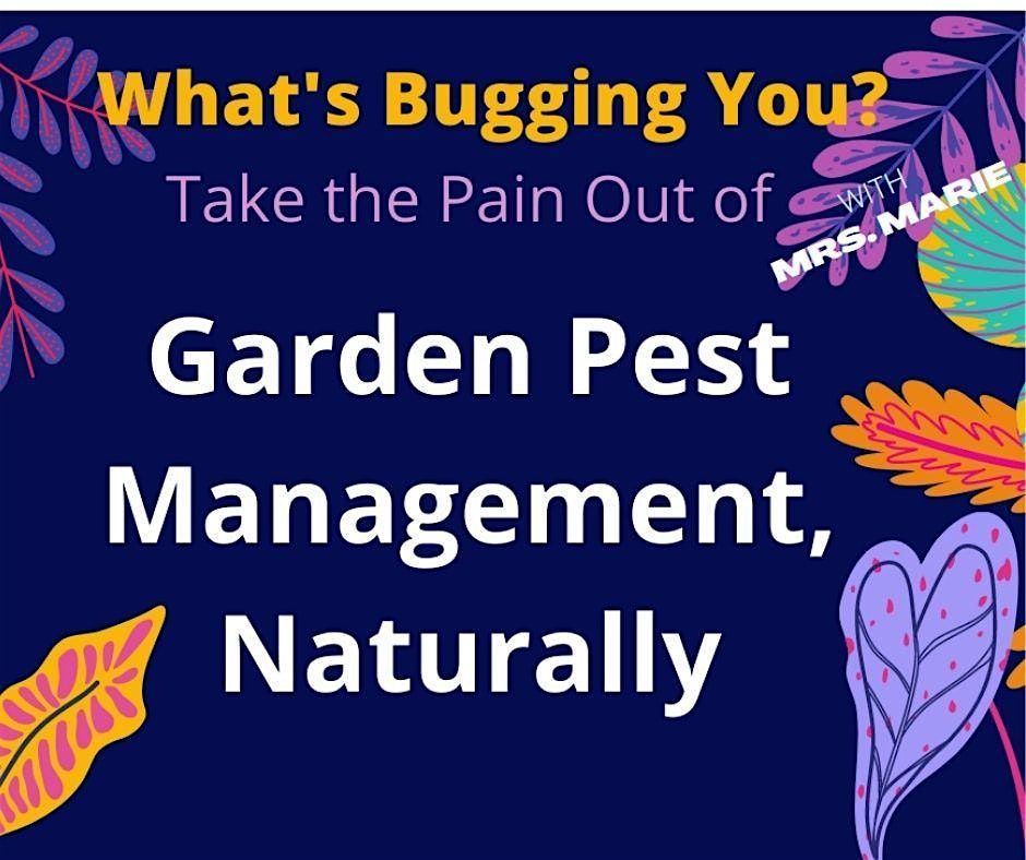 Virtual: Take the Pain out of Gardening: Pest Management