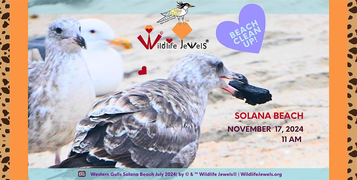 Wildlife Jewels\u00ae Sweep & Learn for Wildlife Beach Cleanup Walk Solana Beach