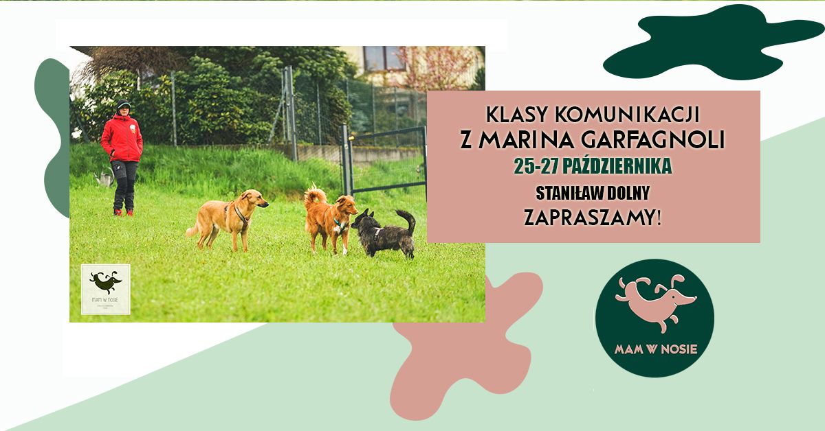 Klasy komunikacji z Marin\u0105 Garfagnoli