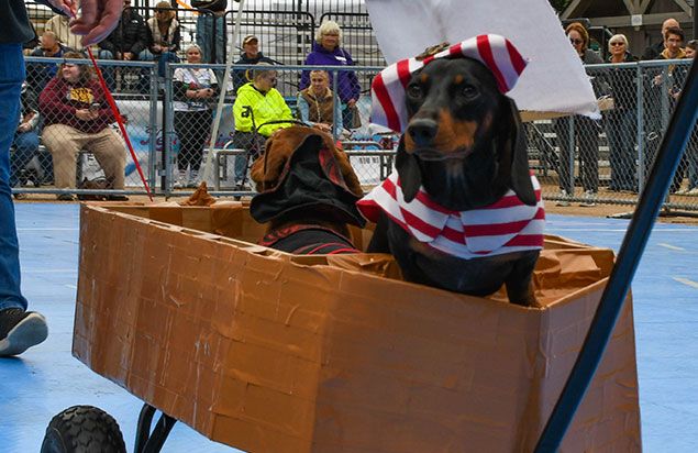 Oktoberfest Pup Parade