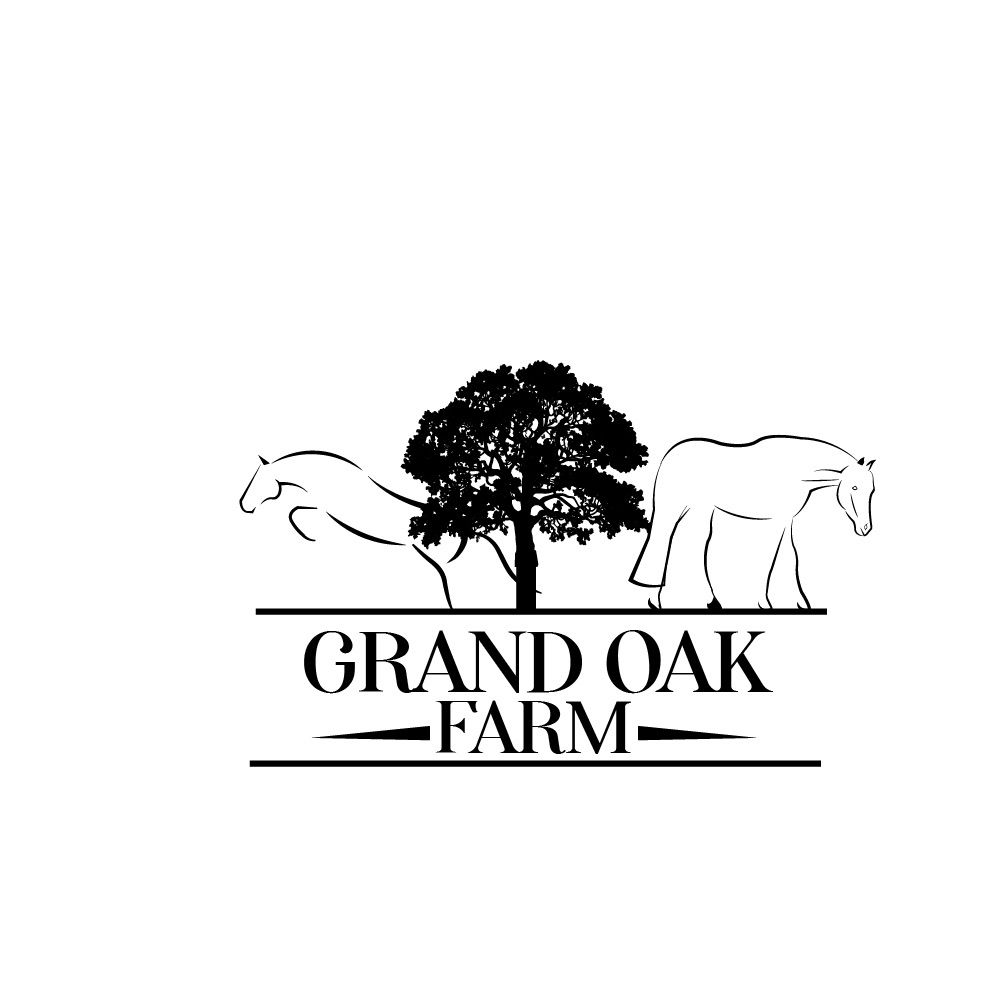 Grand Oak Farm\u2019s Fall Tack Sale 