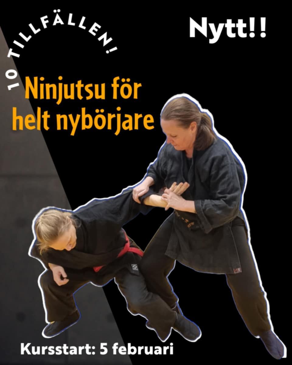 Ninjutsu f\u00f6r helt nyb\u00f6rjare!!