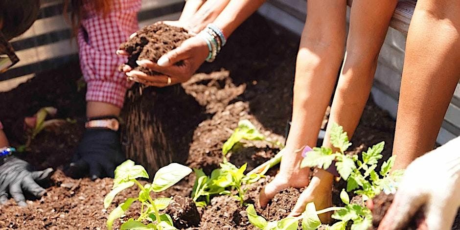 Nourish: Planting and Poetry Workshop