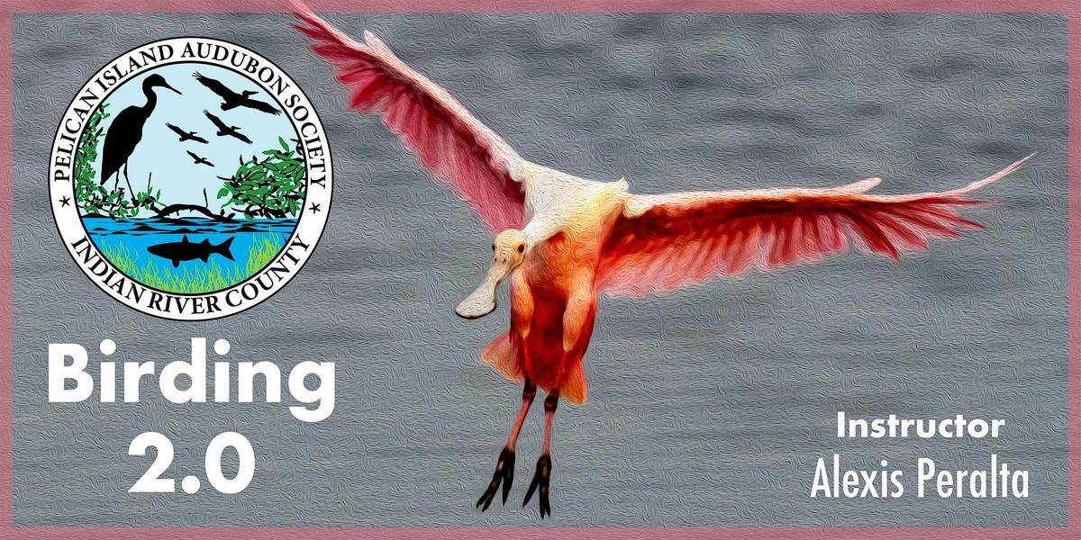 Birding 2.0 Classes - February 2025