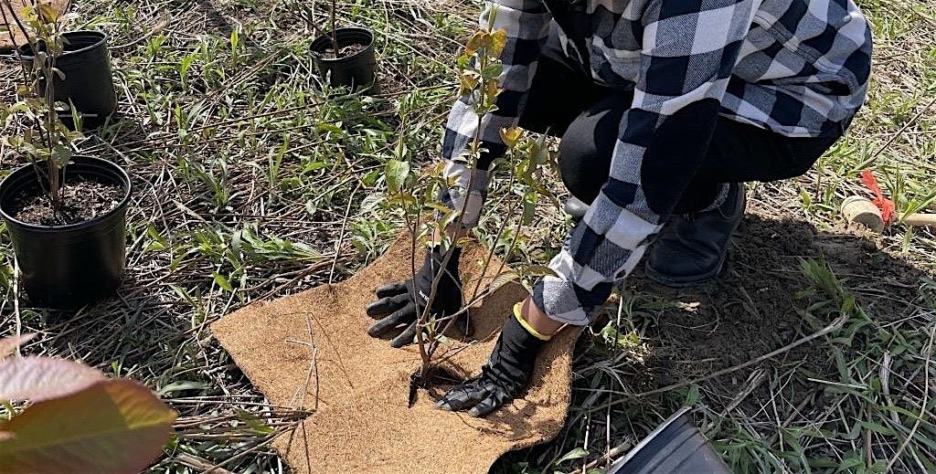 Fall Community Planting at Downsview Park