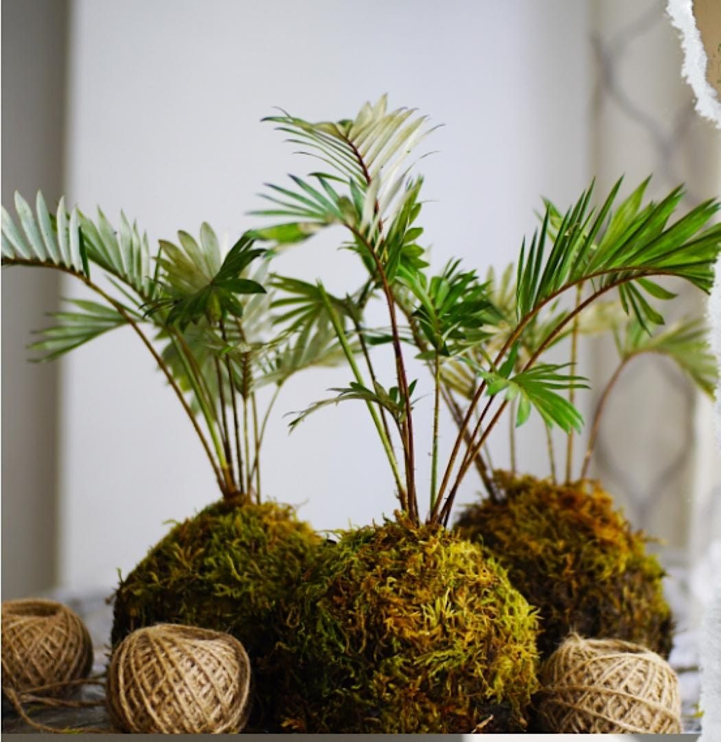 Saturday in the Gardens:  Kokedama