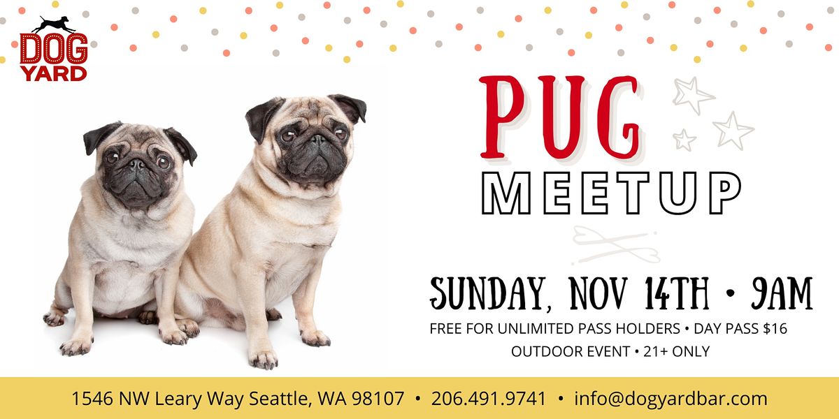 Pug Meetup at the Dog Yard - Sunday Nov 14