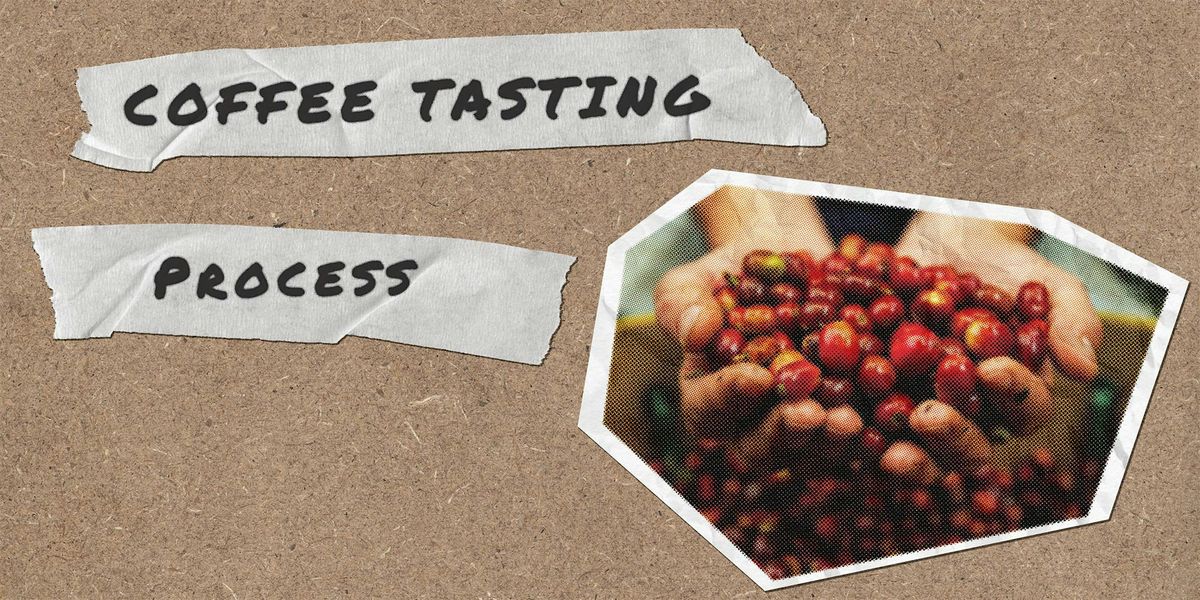 Coffee Tasting: Understanding Process