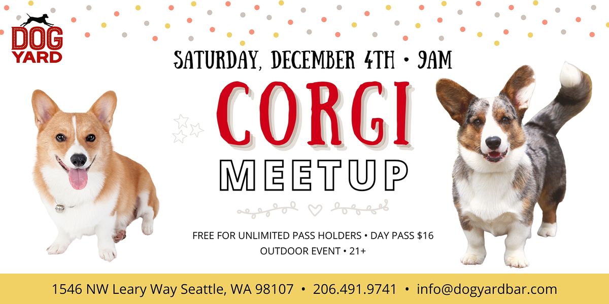 Corgi Meetup at the Dog Yard