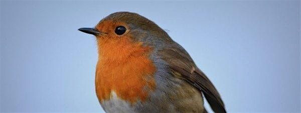 RSPB Talk at Legends