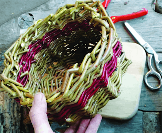 Introduction to Willow Weaving at Ryton Pools Country Park