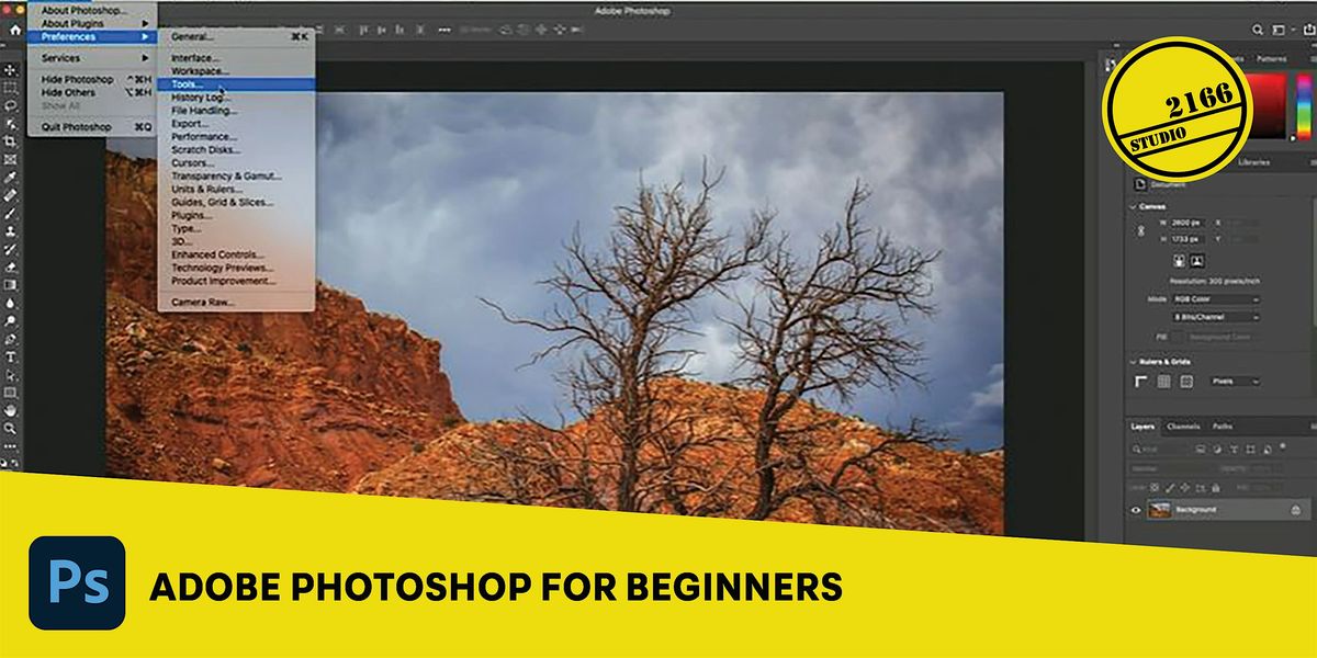 Adobe Photoshop: Beginners - Cabramatta