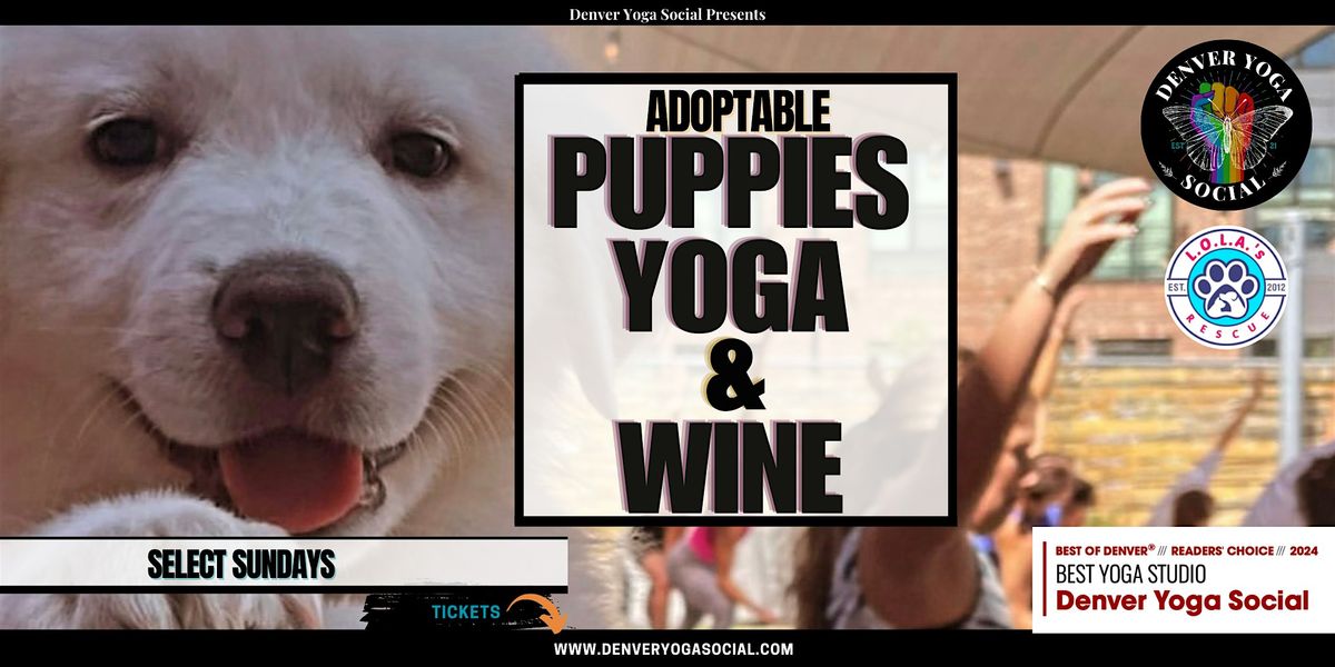 Adoptable Puppies Yoga & Wine + Social Hour  in Rino