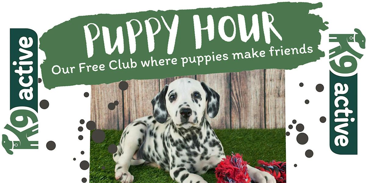 Puppy Hour at K9 Active (October 5th)