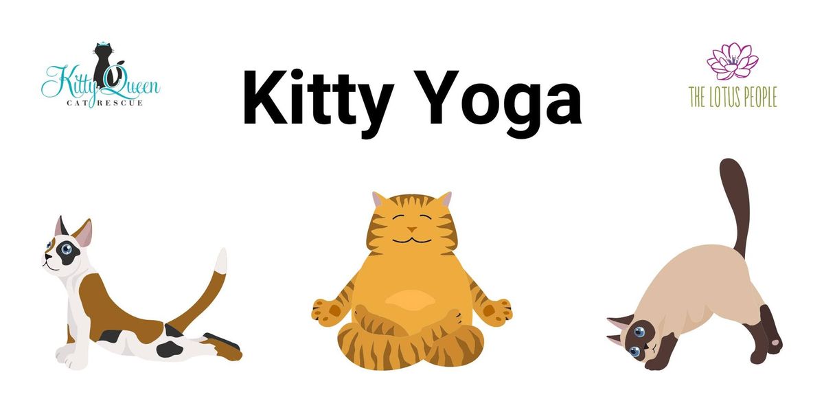 Kitty Yoga