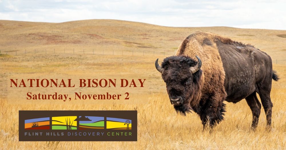 National Bison Day