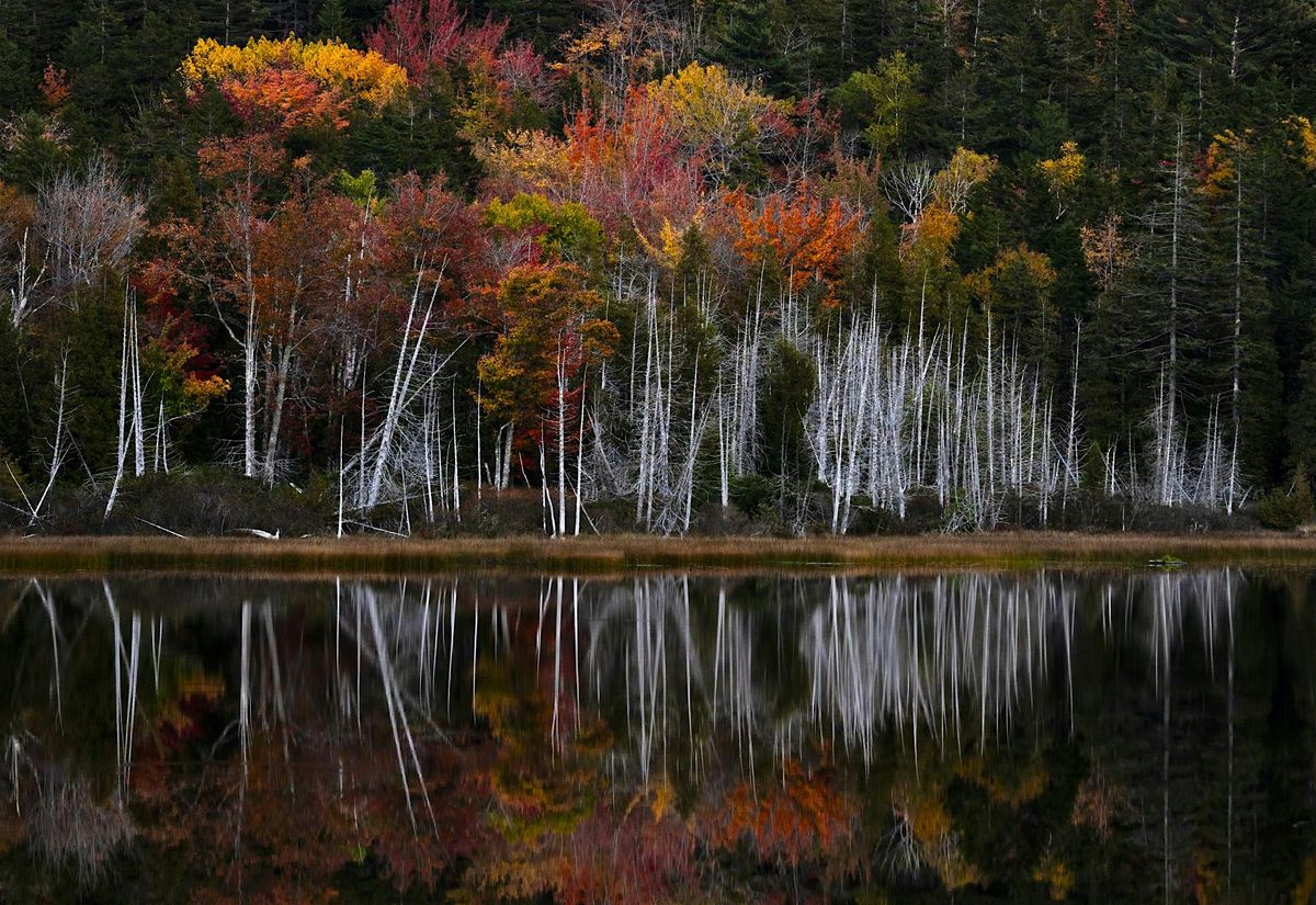 Unlock the Power of Natural Light in Your Photography - Boulder