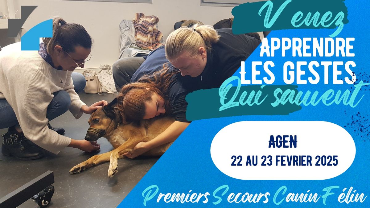 Formation aux Premiers Secours pour Chien et Chat \u00e0 AGEN