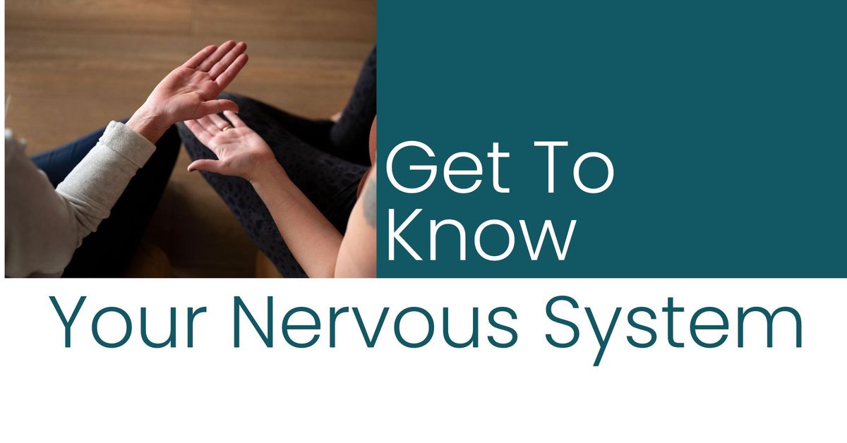 Get To Know Your Nervous System