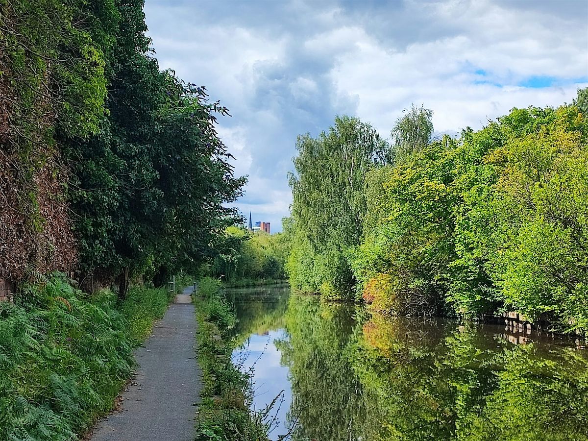 Wellness Walks Sheffield