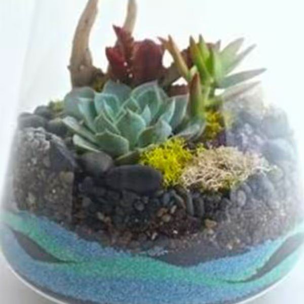 Succulent Sand Art Terrarium