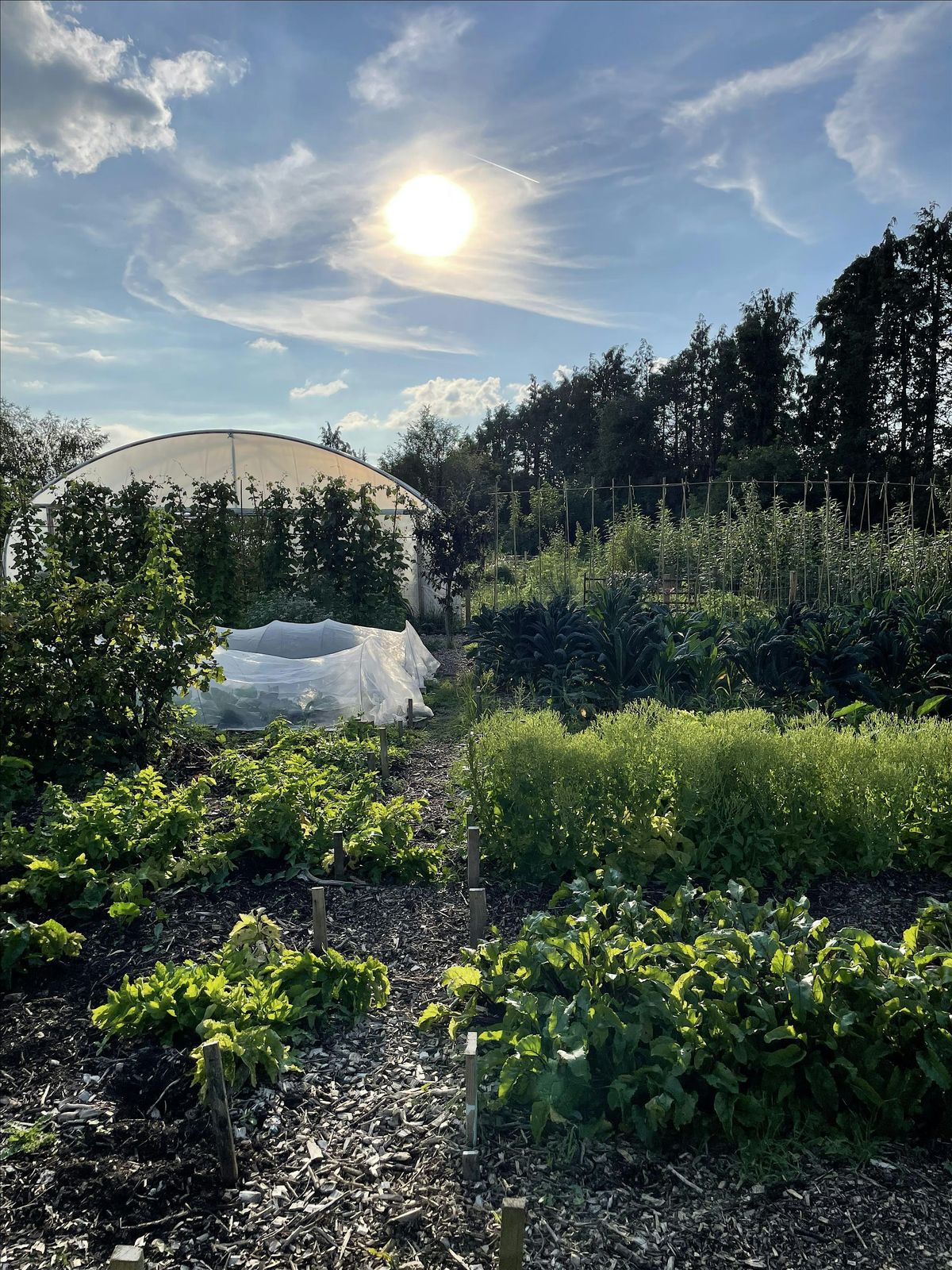 Fridays Community Farming Sessions and Farm open to visitors - 10am to 1pm