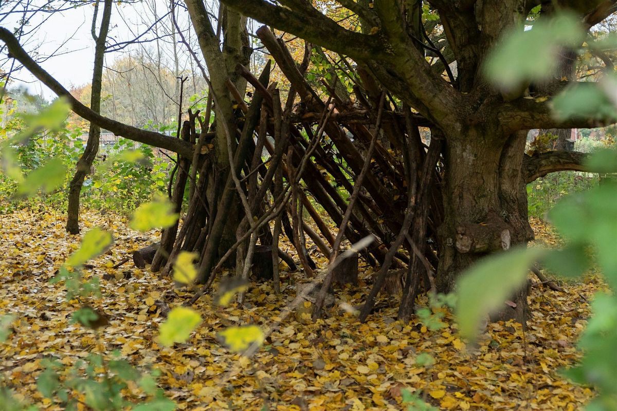 WILDFAMILIES Woodland Adventures at The Wolseley Centre