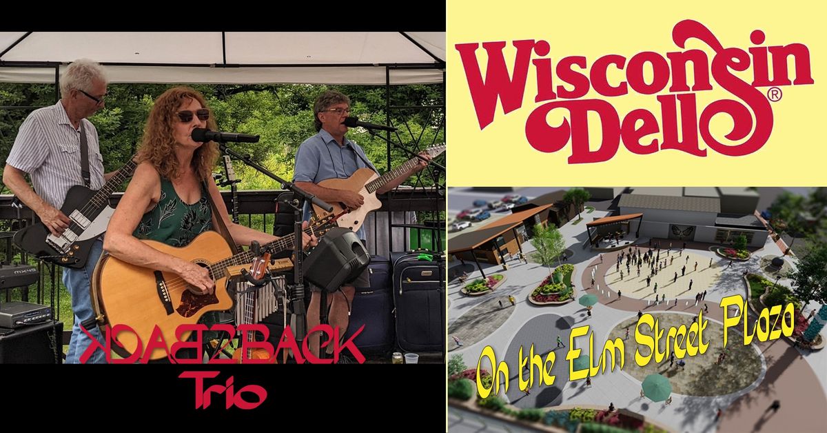 Back2Back Trio Wisconsin Dells Plaza