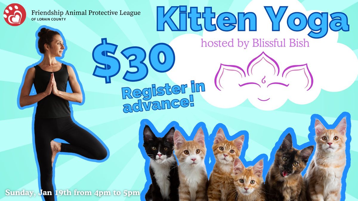 Kitten Yoga Fundraiser