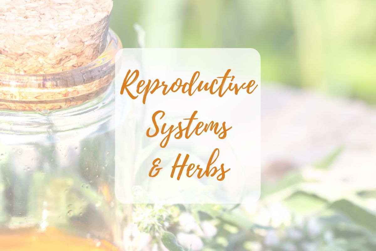 Reproductive Systems & Herbs