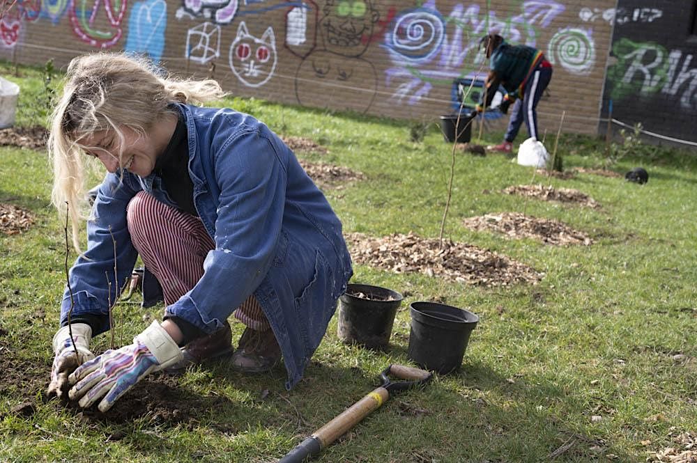 Tree Planting - London Fields