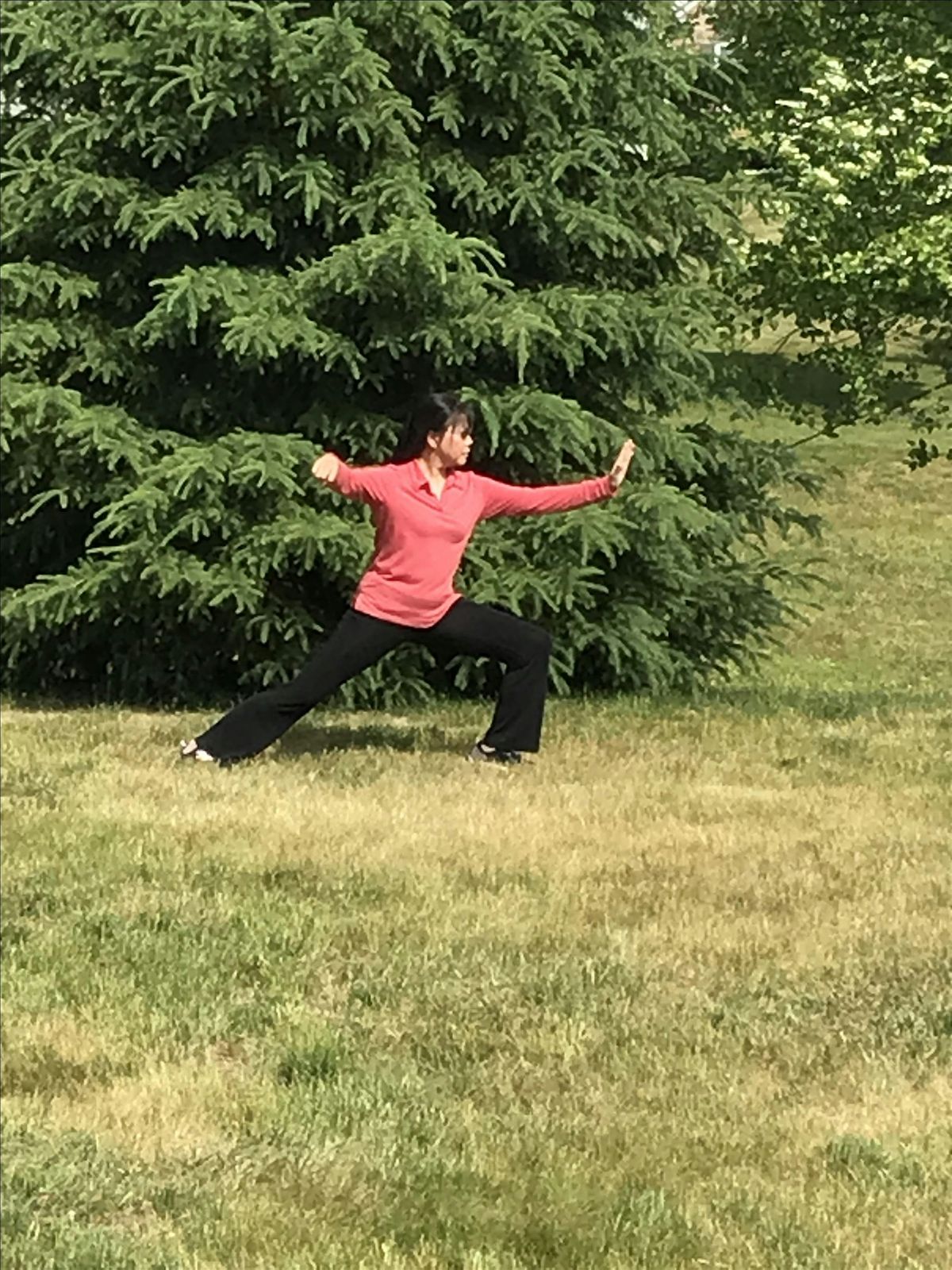 Tao's  Taiji (Tai Chi) Beginner 100 - Coatesville PA