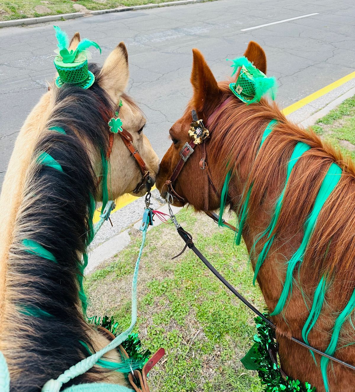 St. Patrick\u2019s Day Parade